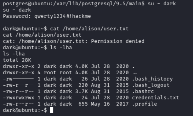 Cambio de usuario a dark